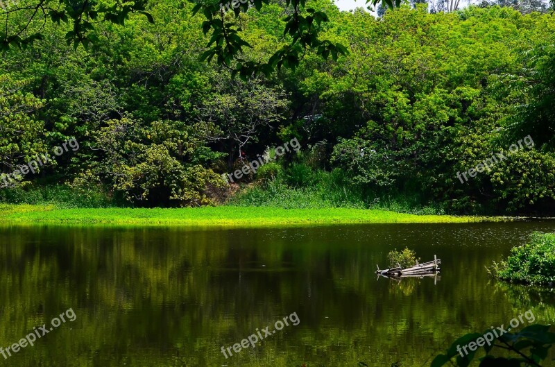 Kaohsiung Niao Song I Manage Woodland Lake Reflection