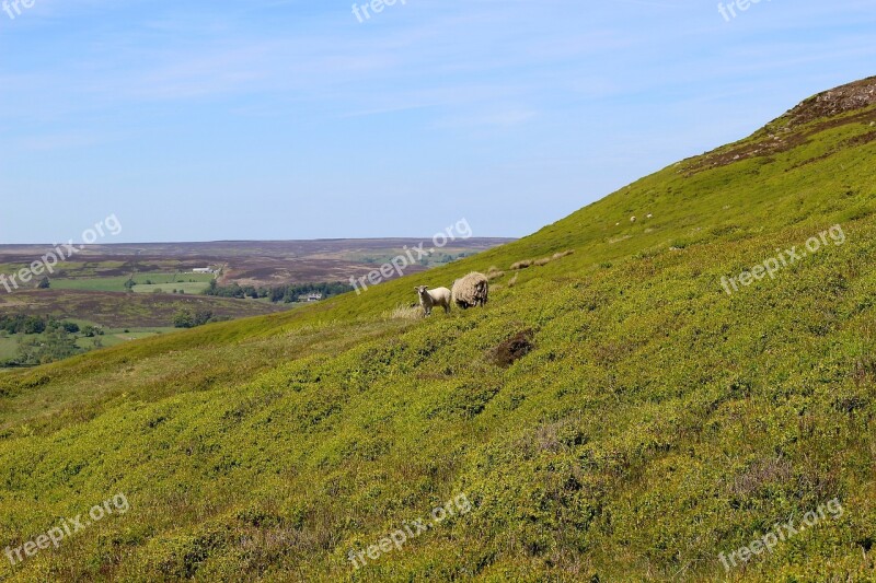 Yorkshire Moors England Yorkshire Uk Landscape