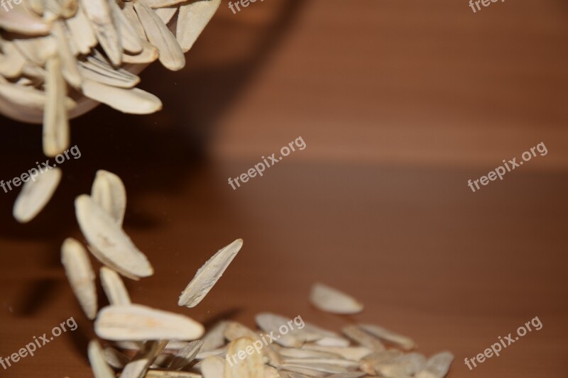 Sunflower Sunflower Seeds Sun Nature Close Up