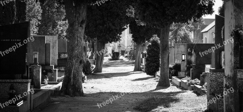 Cemetery Graves Path Alley Still