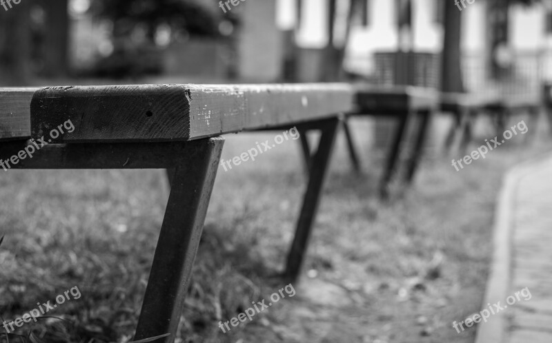 Bench Laiček Series Black And White Park Texture