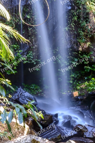 Waterfall Water Flowing Landscape Forest Scenery