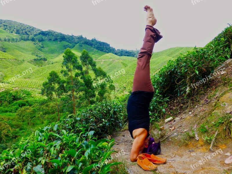 Malaysia Yoga Headstand Free Photos