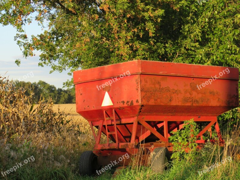 Gravity Box Corn Autumn Beans