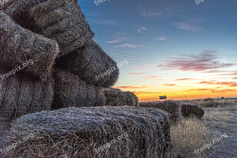 Sunset Dusk Castilla Field Farm