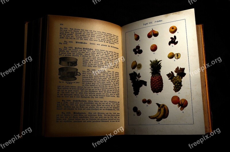 Antiquariat Antiquarian Cookbook Antique Cookbook Book Old Cookbook