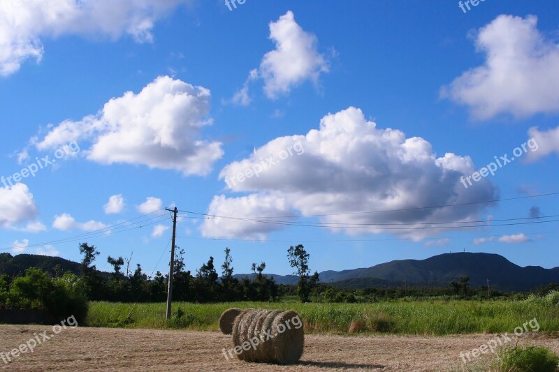 Grass Soil Mechanics Utility Pole Plow Cloud