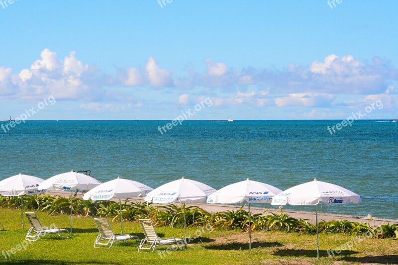 Sea Emerald Green White Parasol Coast