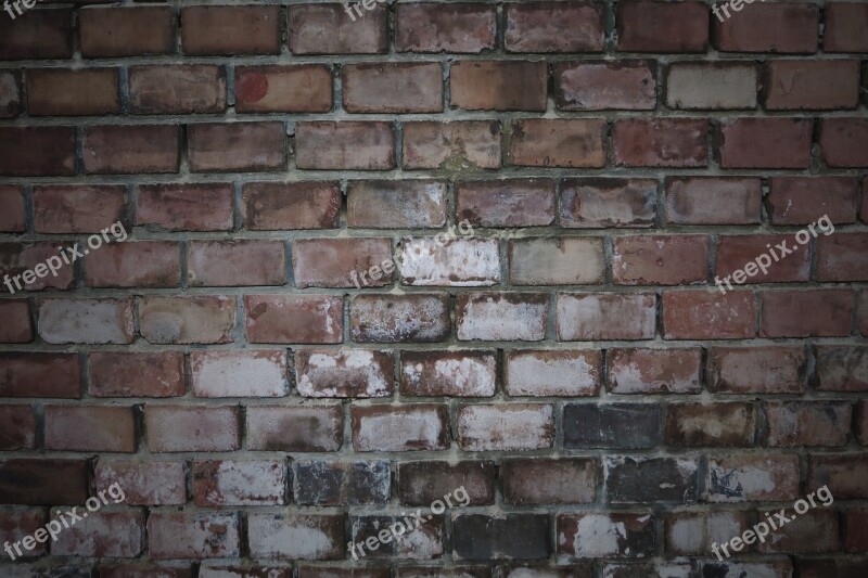 Brick Wall Background Bricked Brick Wall