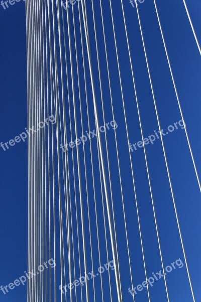 Erasmus Bridge Rotterdam Swan Cable Stayed Bridge Free Photos