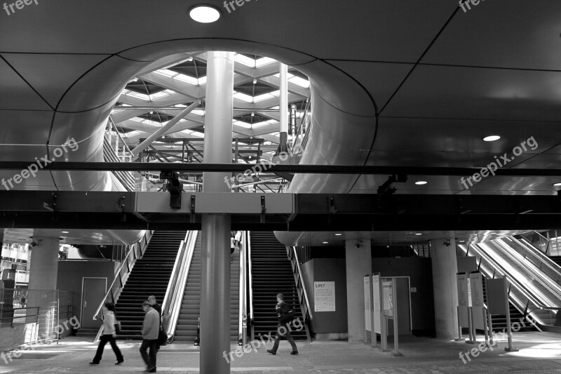 The Hague Hedge Central Station Architecture Free Photos