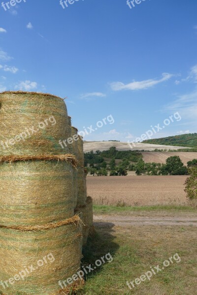 Straw Bales Field Summer Nature Arable