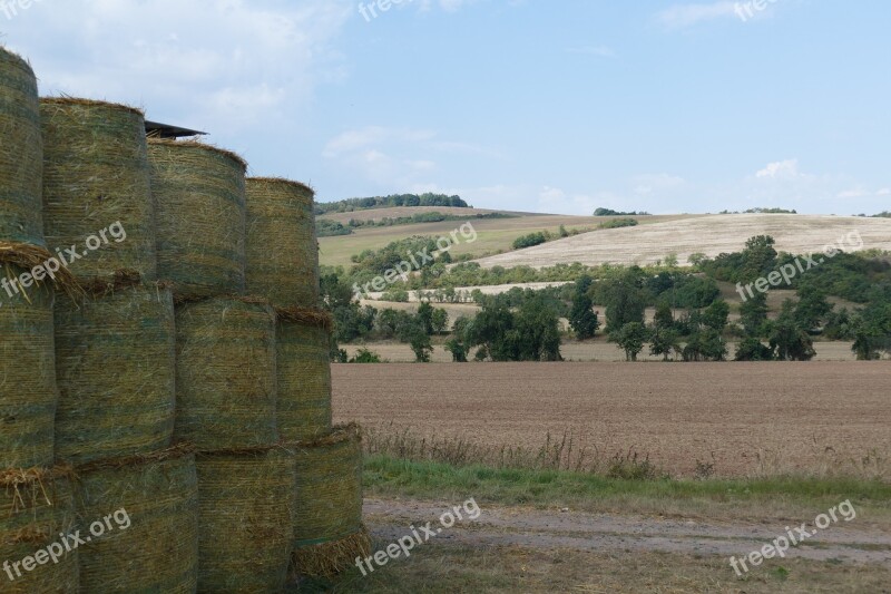 Landscape Panorama Straw Bales Field Summer