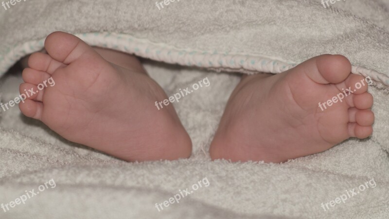 Baby Legs Kid Newborn Baby Childhood