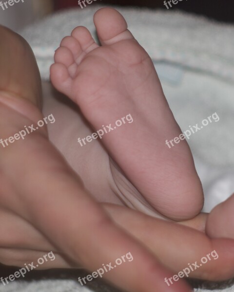 Baby Foot Motherhood Hand Keep Mom