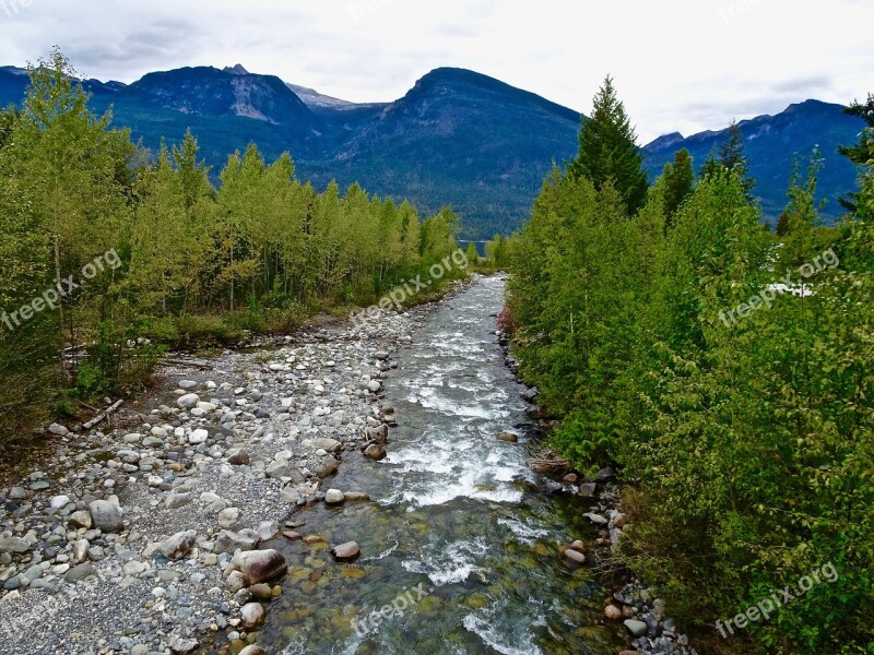 Stream Natural Landscape Scenery Tranquil