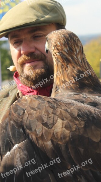 Eagle Man Predator Free Photos