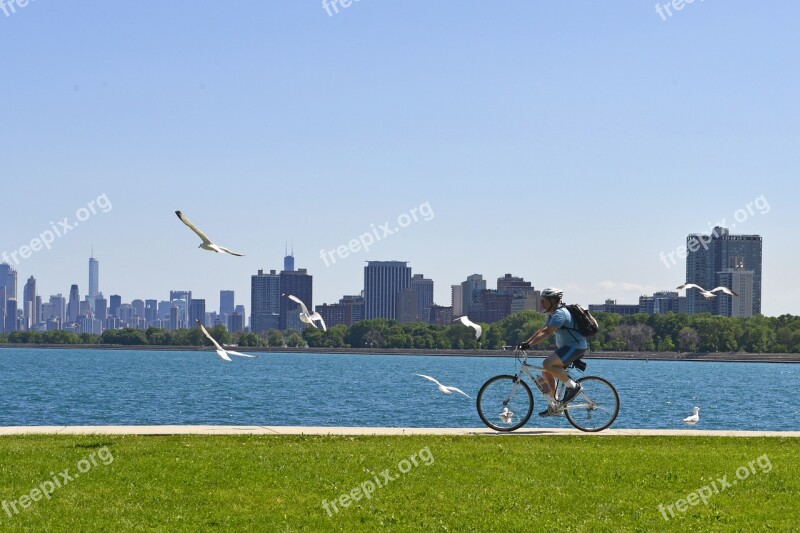 Chicago Lake Michigan Seagull Bike Ride