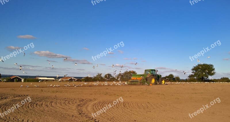 Landscape Denmark Island As A Field On The Sea Farmer At The Plough