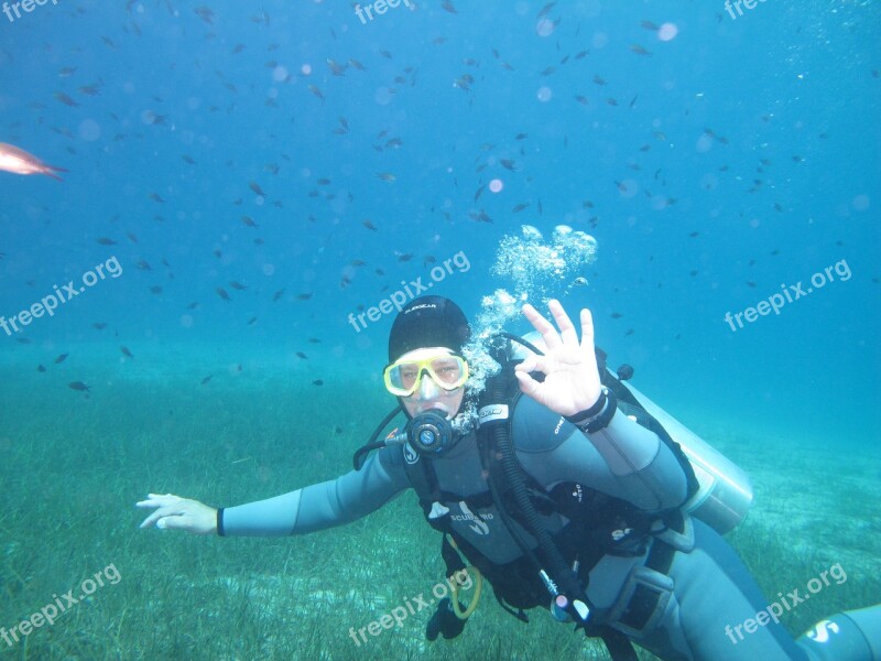 Diving Ocean Underwater Sea Diver