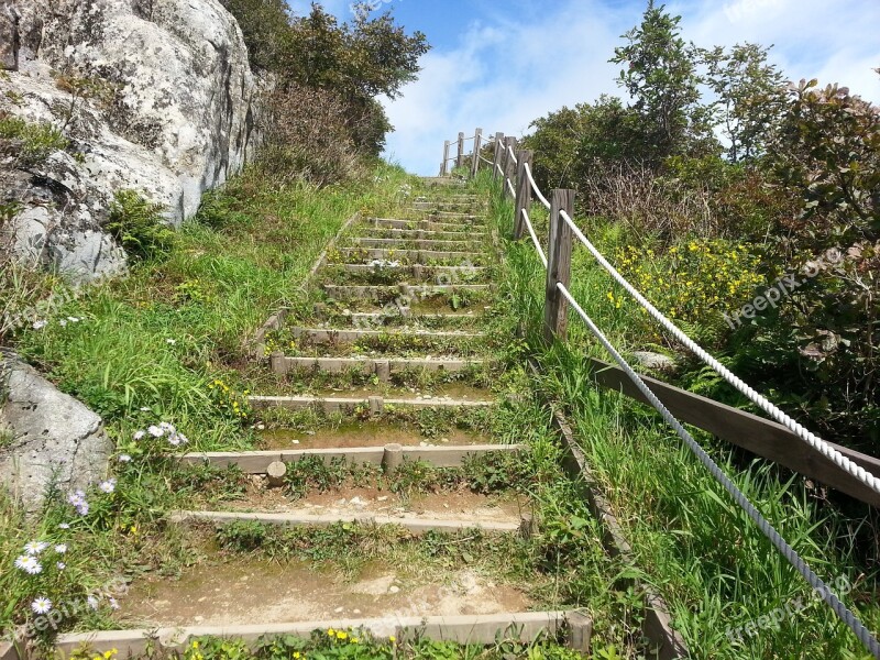 Stairs Ms When The Ranch Forest Road Free Photos