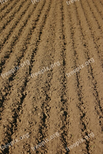 Arable Furrow Farmland Rut Agriculture Field