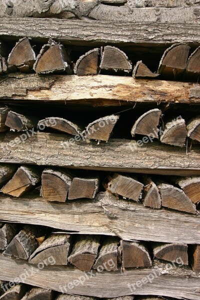 Wood Holzstapel Stack Firewood Growing Stock