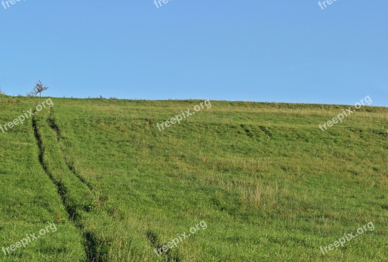 Hill Mountain Nature Meadow Green