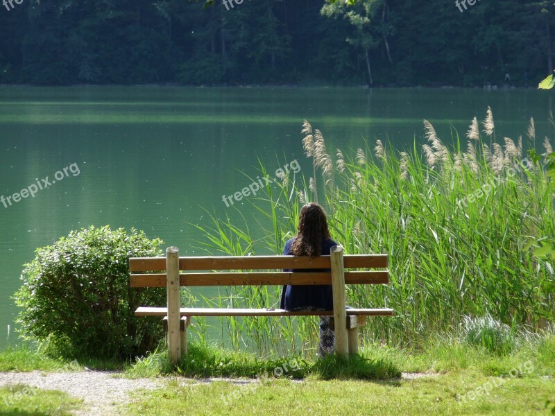 Lake Nature Rest Atmosphere Bank