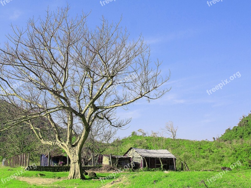 Field Cottage Landscape Nature Rural