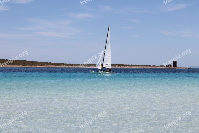 Sailing Boat Water Sport Sea Free Photos