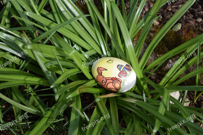 Easter Egg Easter Egg Colorful Free Photos