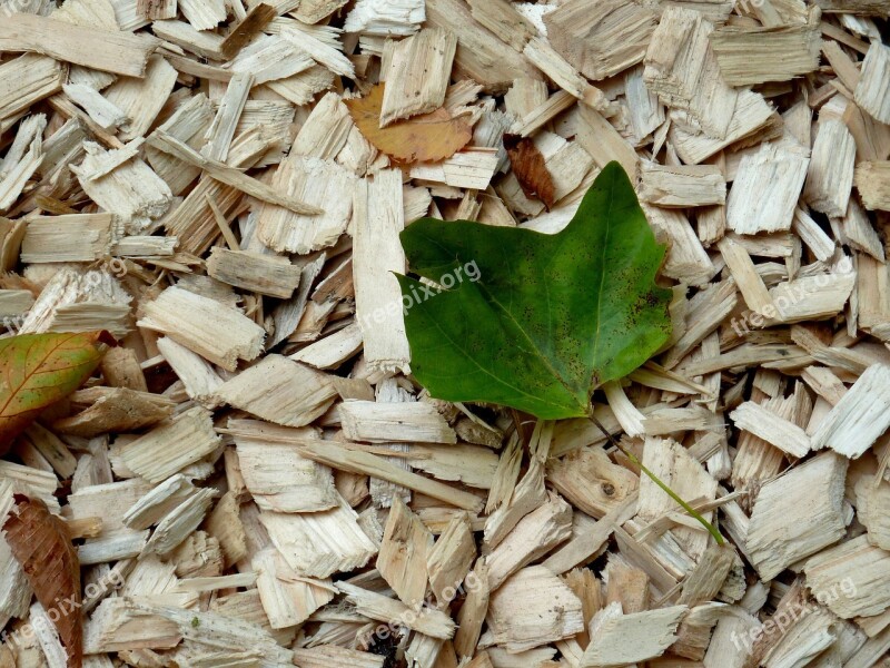 Wood Chips Leaf Autumn Leaves Wood Chopping