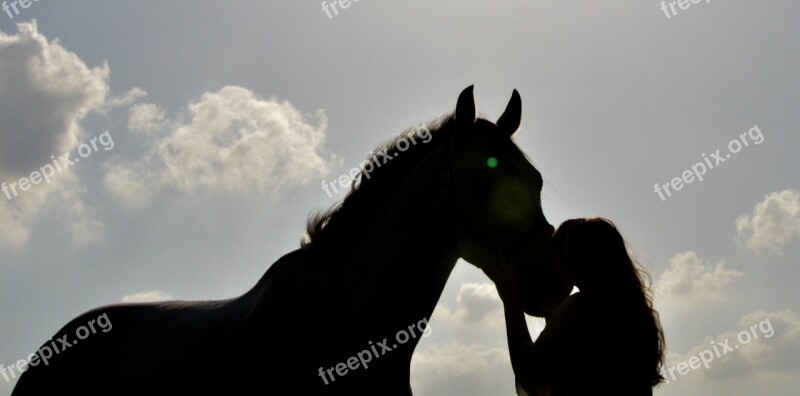 Horse Sunset Kiss Girl Aminal