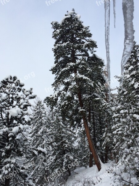 Colorado Winter Snow Landscape Rocky