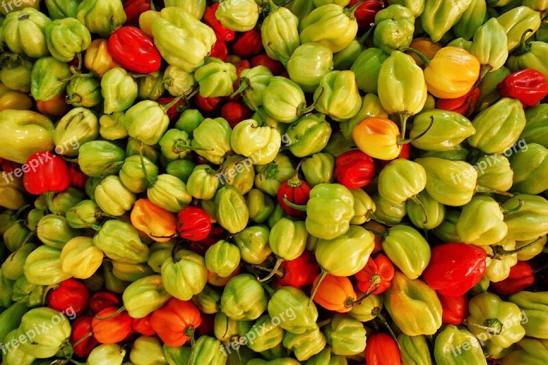 Chili Peppers Hot Green Red Capsicum