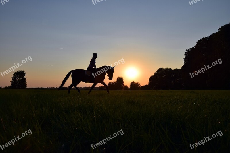 Ride Trot Sunset Horse Meadow