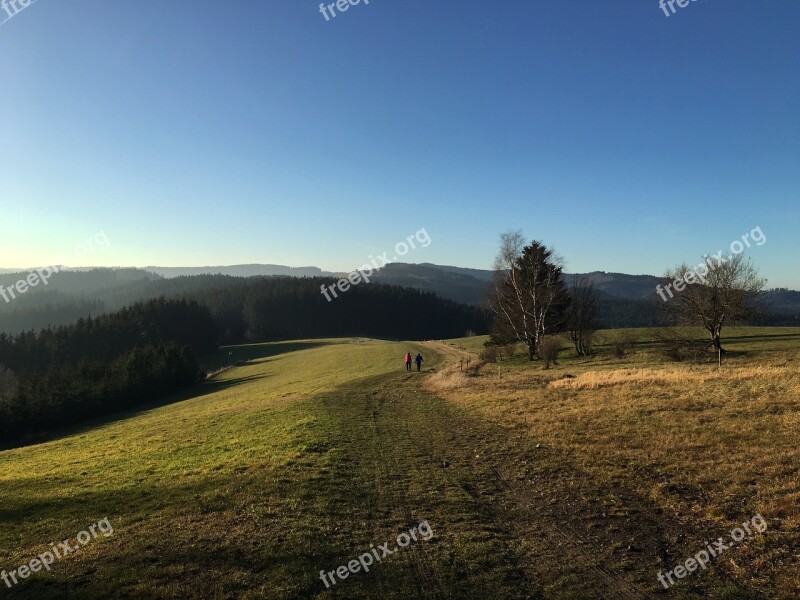 Czech Republic Grass Hill Trees Europe