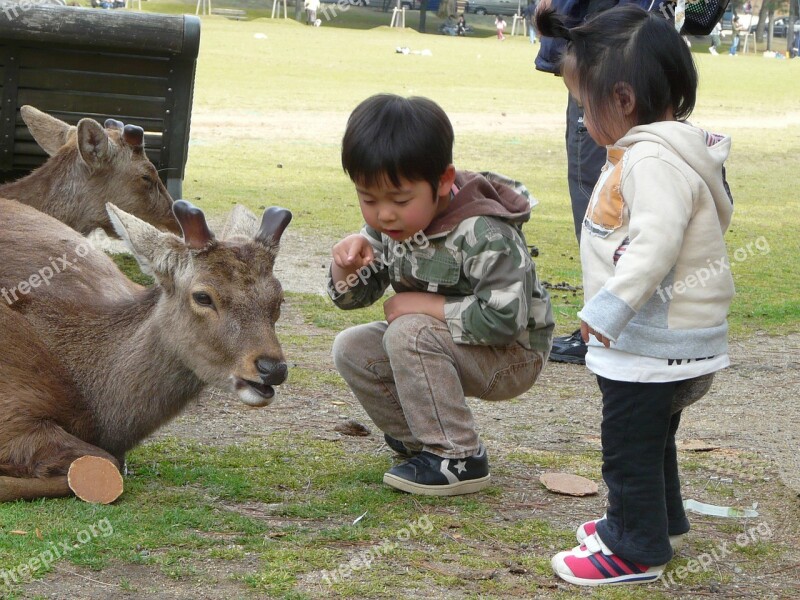 Japan Nara Garden Children Power