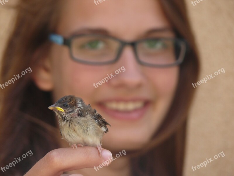 Sparrow Bird Gentle Smile Free Photos