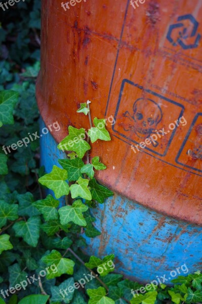 Protection Of The Environment Barrel Amber Plant Green