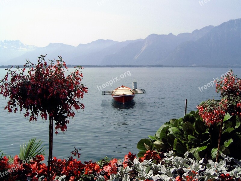 More Water Switzerland Rowing Boat Flowers