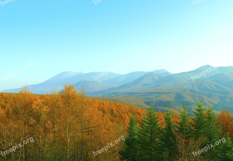 Japan Nagano Prefecture Nagano Torii Pass Autumnal Leaves