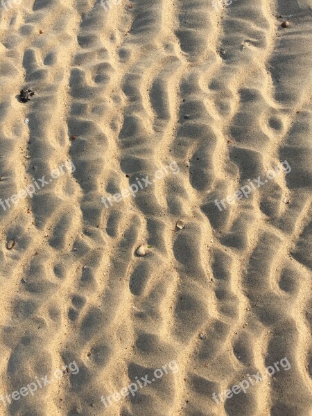 Beach Sand Tracks In The Sand Free Photos