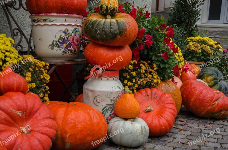 Autumn Pumpkins Decoration Harvest Colorful