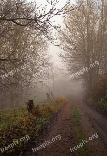 Way Autumn The Fog Haze Dirt Road