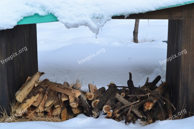 Firewood Winter Wood Twig In The Cold