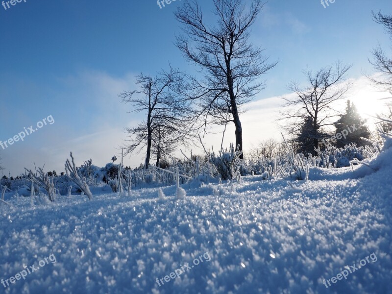 Snow Landscape Ice Winter Cold Sun