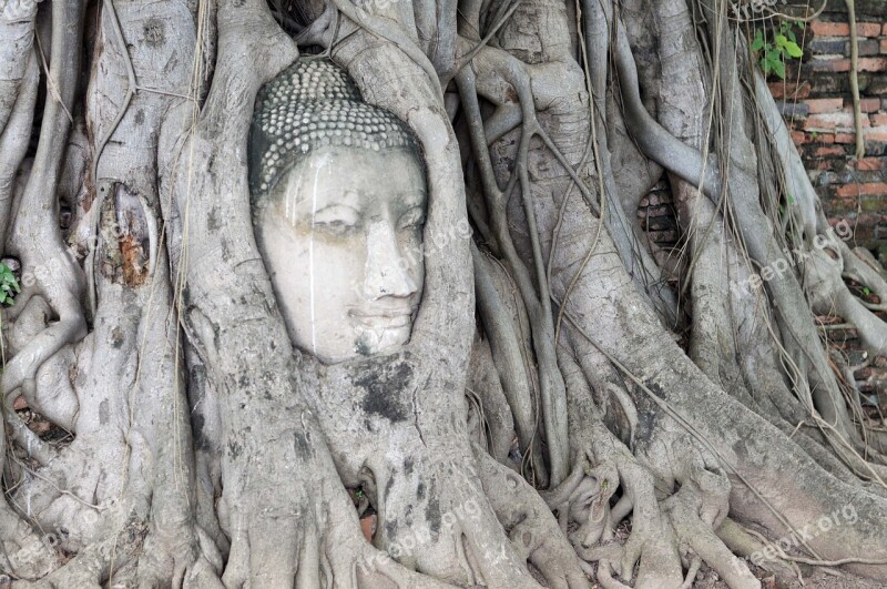 Thailand Buddha Statues Archaeological Site Cham Buddha Head