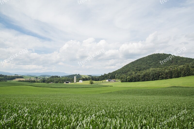 Green Land Sky Blue Nature